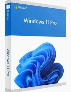 Phần mềm Windows 11 Pro 64-bit All Lng PK Lic Online DwnLd NR